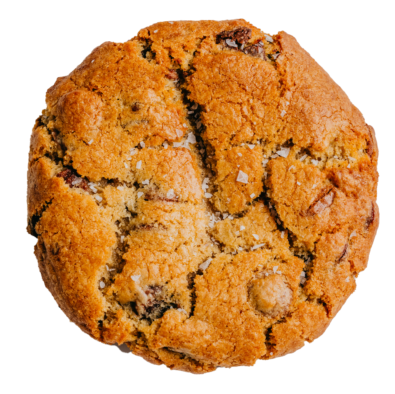 STAY SALTY: CHOC CHIP